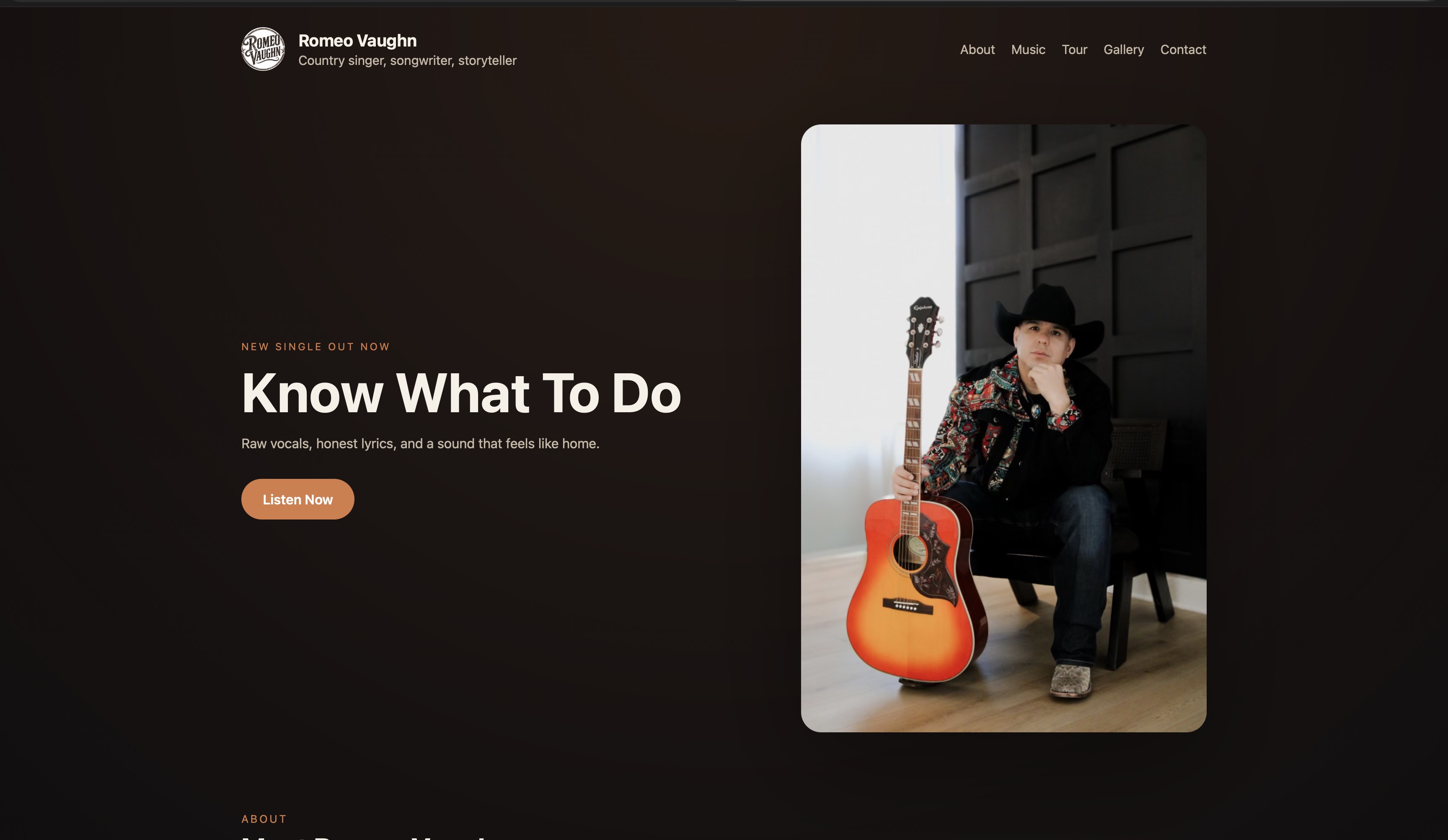 Romeo Vaughn artist portfolio website